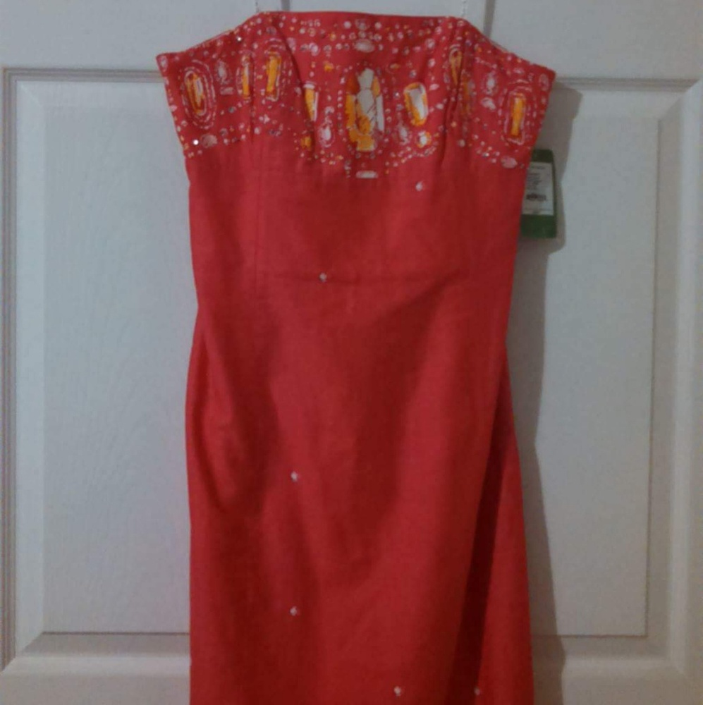 Size 6 Lilly Daiquiri Pin Fools Jewels Bowen Dress